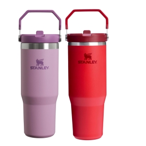 Stanley Quencher ProTour Flip Straw Tumbler with Leakproof Lid 40 oz | Built-In Straw and Handle | Cup Holder Compatible for Travel | Insulated Stainl