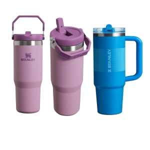 Stanley IceFlow 2.0 Flip Straw Tumbler with Handle 20 oz | Twist On Lid and Flip Up Straw | Leak Resistant Water Bottle | Insulated Stainless Steel | 